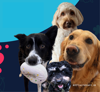 @petsastherapy_uk