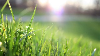 The natural environment