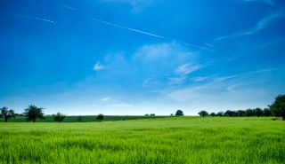 A UK natural landscape.