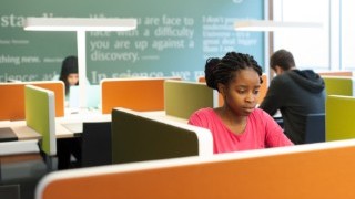 Students in the Library