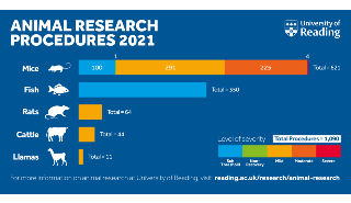 Animal research procedures graphic showing 2021 stats