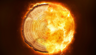 Roots of a tree combined with a radiation storm. Image via The University of Queensland.