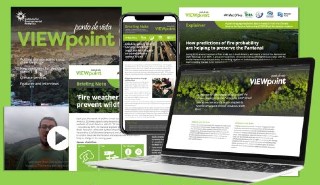 The Viewpoint climate resources website designed by the Institute of Environmental Analytics