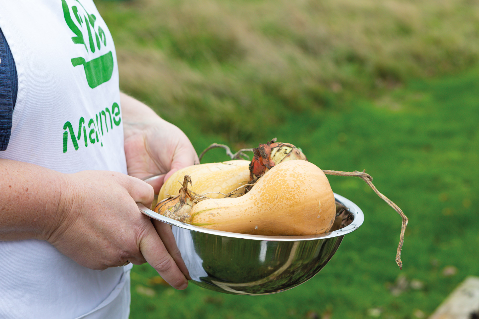 Someone carrying a bowl of freshly picked home grown vegetables