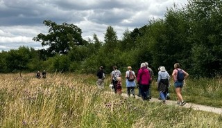 A group of people walking through a wildflower meadow