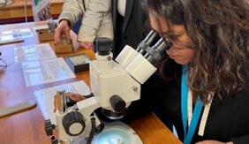 A mixed race lady looks through a telescope at a specimen of gold