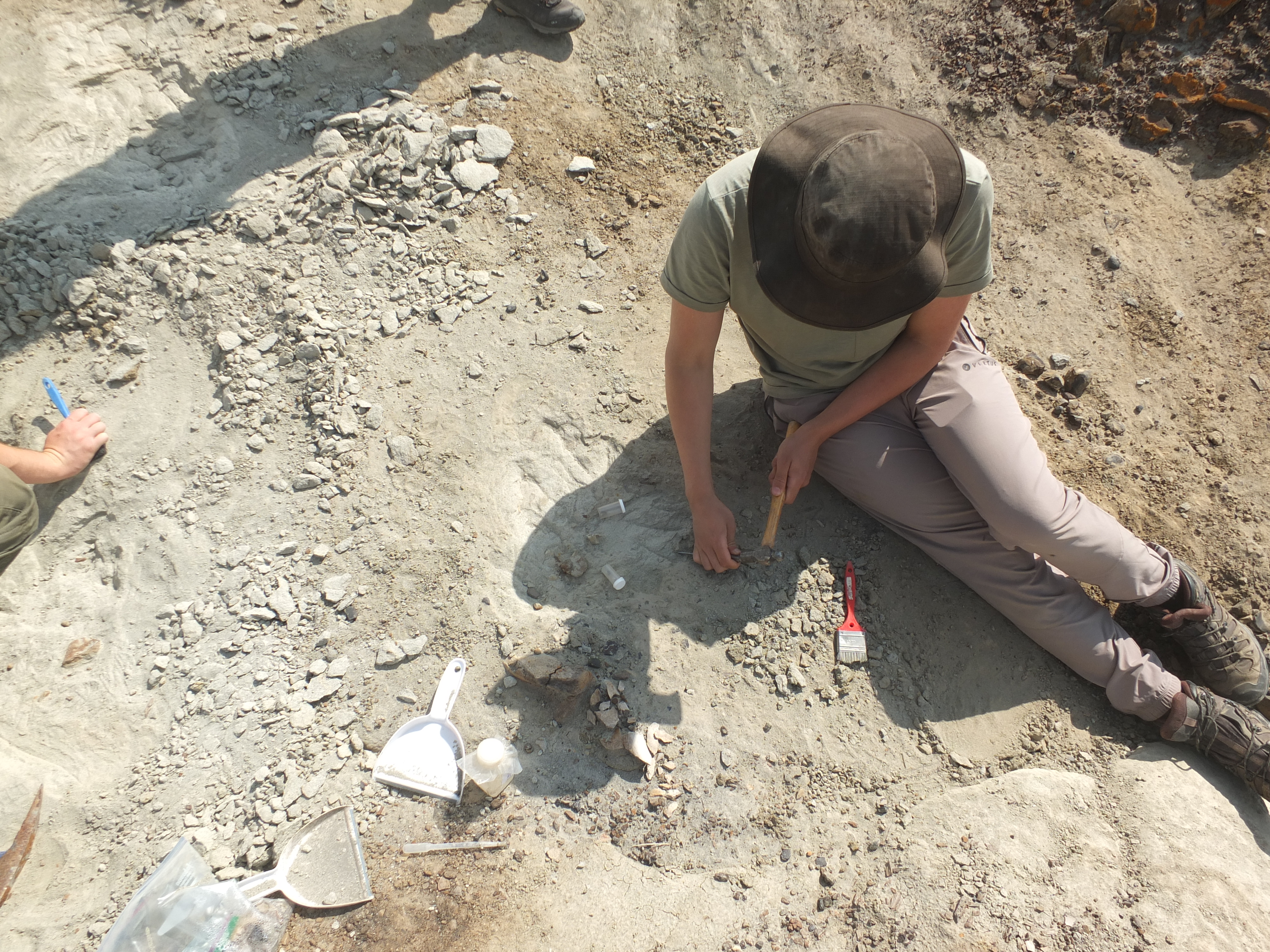 A white male brushing the ground looking for fossils