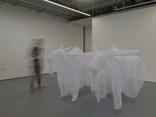 An artwork installation of two paper based oxen