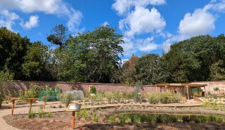 An image of the University of Reading Learning Garden