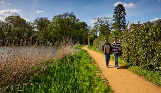 Students walking beside Whiteknights lake