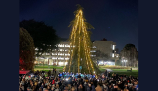 The Palmer Quad tree lit up and surrounded by carol singers