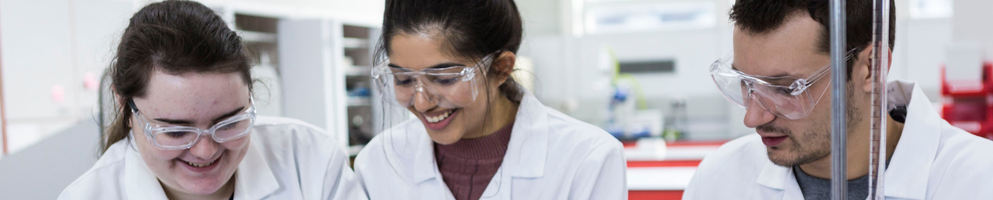 Students working together in a laboratory