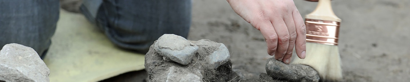 Archaeologist at work with brush