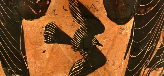 Close up of bird depicted in black on ceramic, fragment of ancient pot.