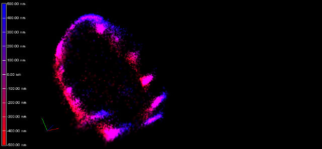 Platelet receptor distribution