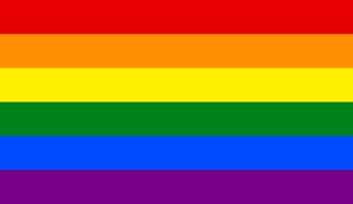 The LGBT+ rainbow  flag